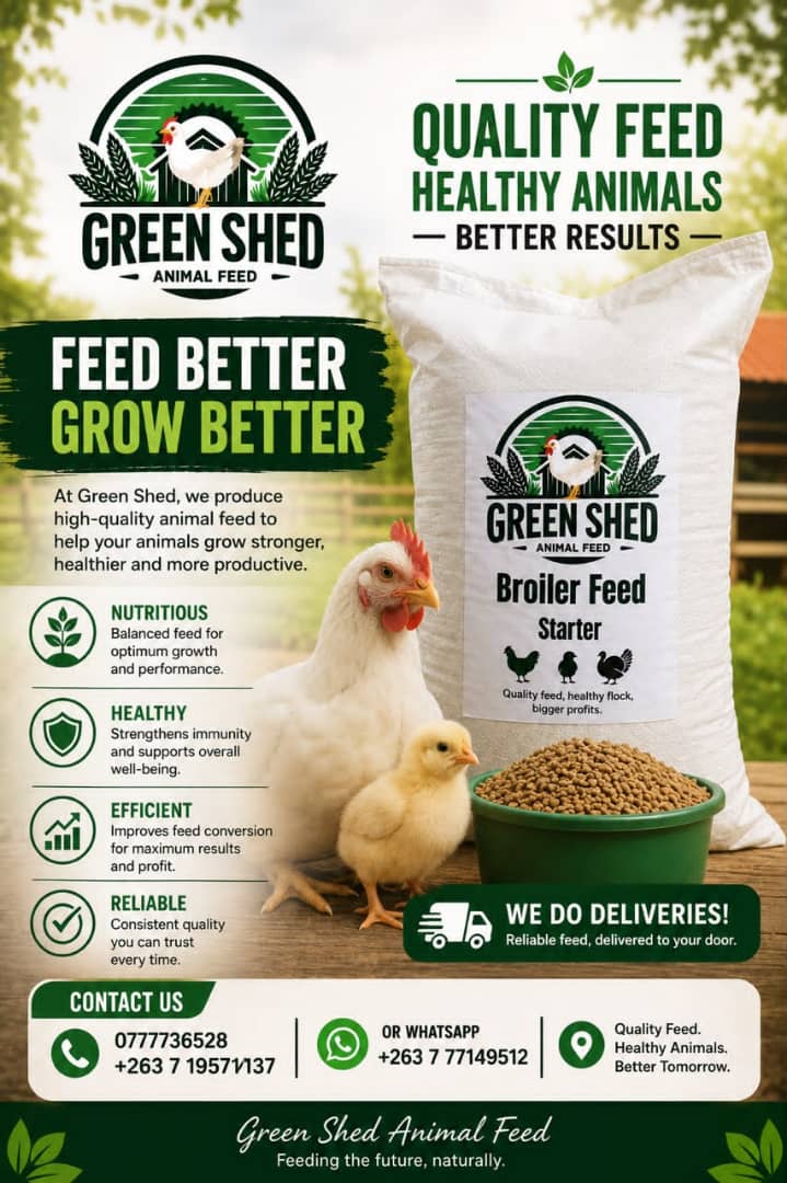 Green Shed quality feed poster featuring broiler pellets